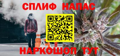 прущие грибы Краснокаменск