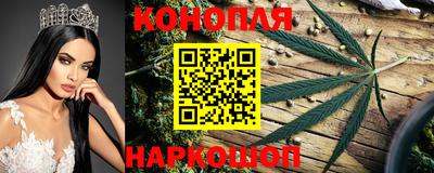 индика Краснодар