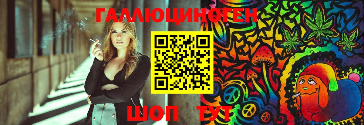 Галлюциногенные грибы Magic Shrooms  Вход с VPN  Волхов  Псилоцибиновые грибы Psilocybine cubensis 